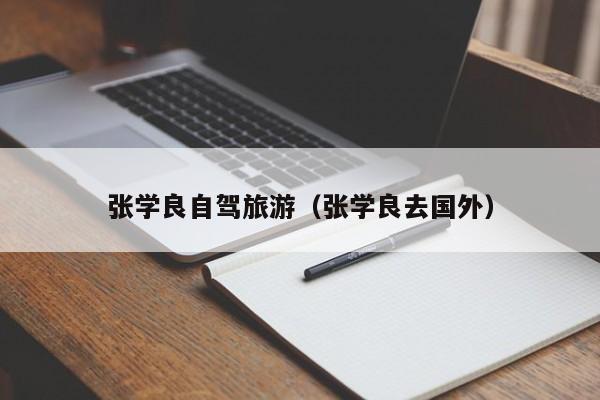 张学良自驾旅游（张学良去国外）