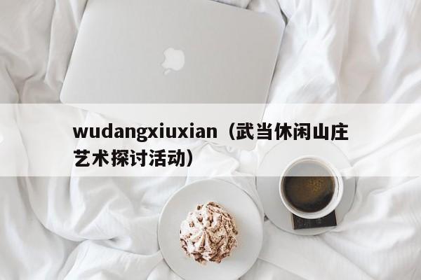 wudangxiuxian（武当休闲山庄艺术探讨活动）