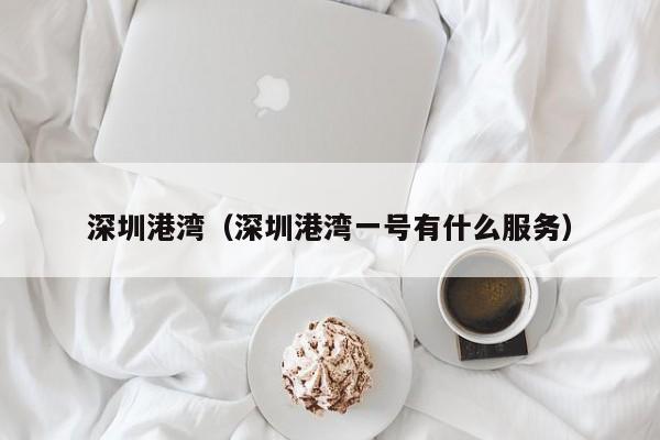 深圳港湾（深圳港湾一号有什么服务）